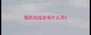 猫防虫疫苗有什么用