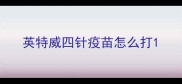 英特威四针疫苗怎么打