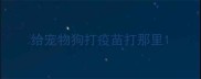 给宠物狗打疫苗打那里
