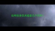 拉布拉多狂犬疫苗几个月打