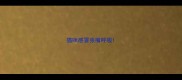 猫咪感冒张嘴呼吸