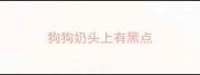 狗狗奶头上有黑点