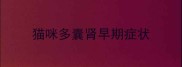猫咪多囊肾早期症状