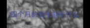 四个月的金毛能吃什么