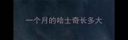 一个月的哈士奇长多大