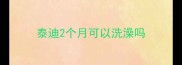 泰迪2个月可以洗澡吗