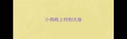 小狗晚上特别亢奋