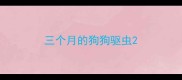三个月的狗狗驱虫