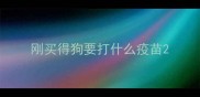 刚买得狗要打什么疫苗