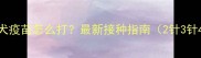 狗狗狂犬疫苗怎么打最新接种指南2针3针4针全