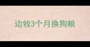 边牧3个月换狗粮