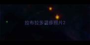 拉布拉多湿疹照片