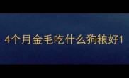 4个月金毛吃什么狗粮好