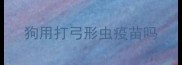 狗用打弓形虫疫苗吗