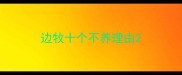 边牧十个不养理由