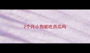 2个月小狗能吃西瓜吗