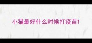 小猫最好什么时候打疫苗