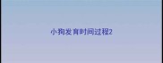 小狗发育时间过程