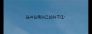 猫咪拉稀自己控制不住
