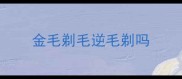 金毛剃毛逆毛剃吗