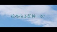 拉布拉多配种一次