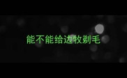 能不能给边牧剃毛