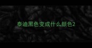 泰迪黑色变成什么颜色