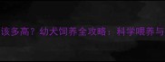 哈士奇3个月大该多高幼犬饲养全攻略科学喂养与疾病预防指南