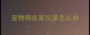 宠物狗在家拉屎怎么办