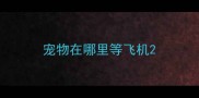 宠物在哪里等飞机