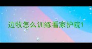 边牧怎么训练看家护院