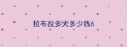 拉布拉多犬多少钱6