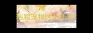 瑞鹏宠物医院新安