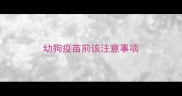 幼狗疫苗前该注意事项