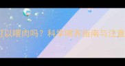 宠物狗可以喂肉吗科学喂养指南与注意事项全
