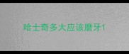 哈士奇多大应该磨牙