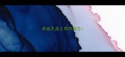 泰迪犬身上两样颜色