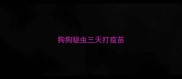 狗狗驱虫三天打疫苗
