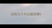 边牧几个月出尴尬期