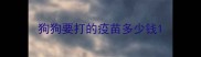 狗狗要打的疫苗多少钱