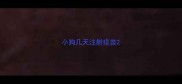 小狗几天注射疫苗