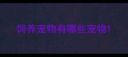 饲养宠物有哪些宠物