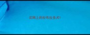 买网上的拉布拉多犬