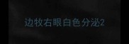 边牧右眼白色分泌