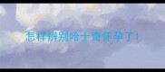 怎样辨别哈士奇怀孕了
