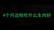 4个月边牧吃什么生肉好