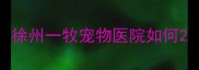 徐州一牧宠物医院如何
