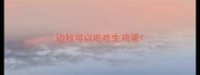 边牧可以吃吃生鸡蛋