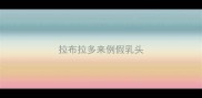 拉布拉多来例假乳头
