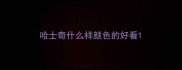 哈士奇什么样颜色的好看